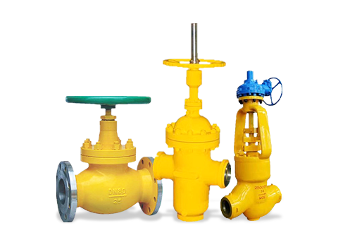 Liquefied gas valve series