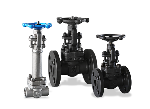 Forged steel valve series