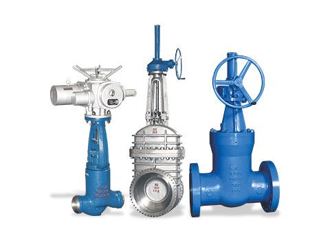 Special Valve Series for Power Stations