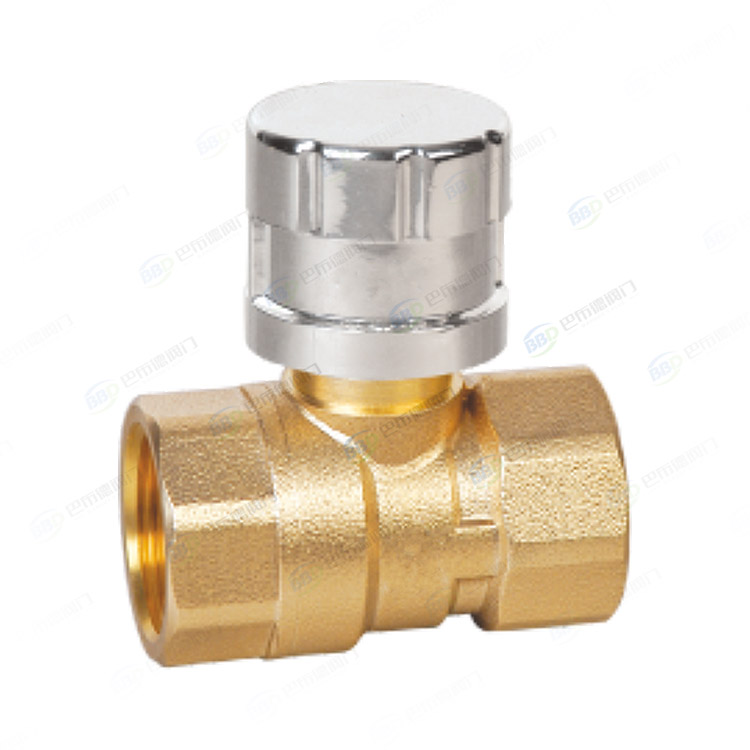 Brass magnetic lockable ball valve