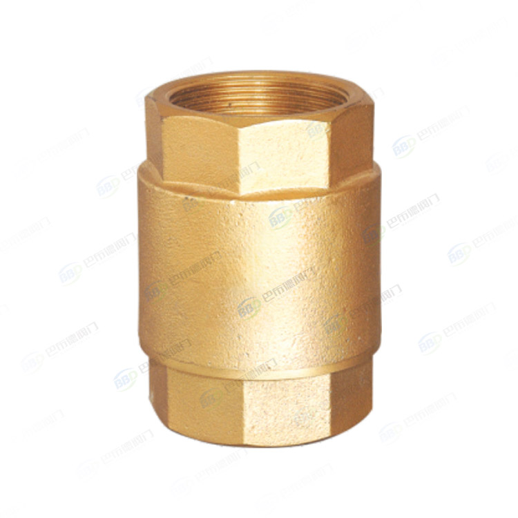 Brass vertical check valve