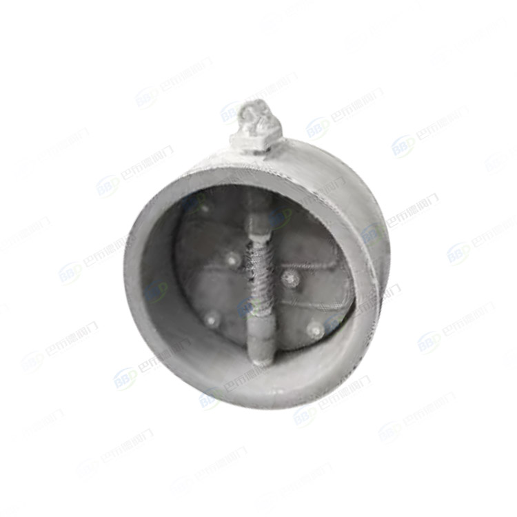 Double valve check valve