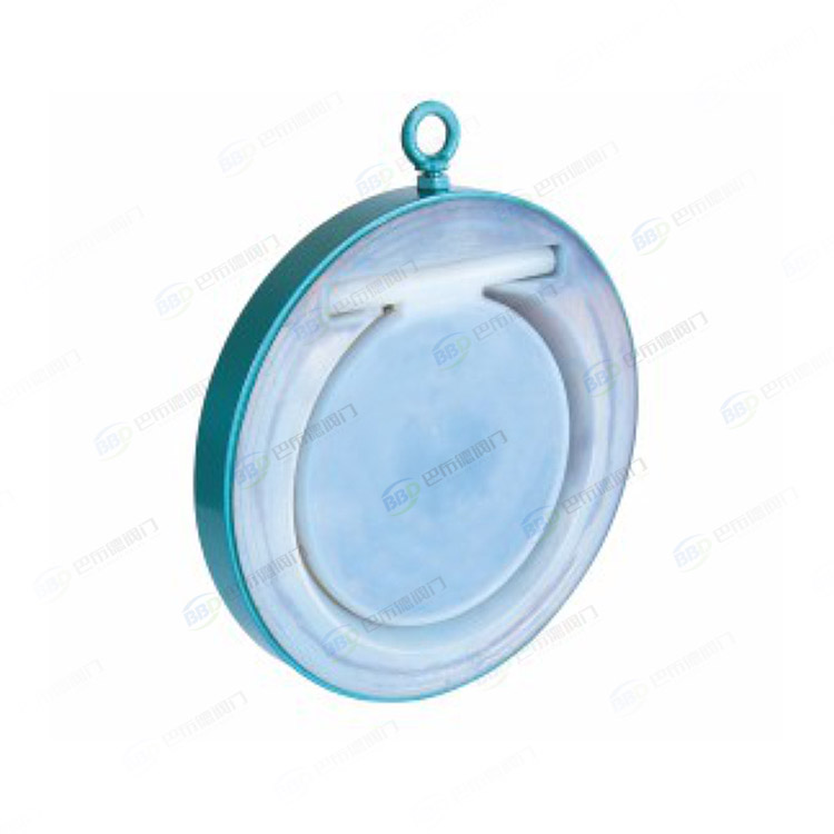 Fluorine lined clamp check valve