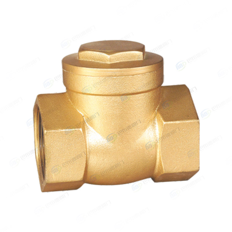 Brass check valve