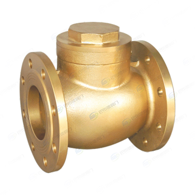 Brass flange check valve