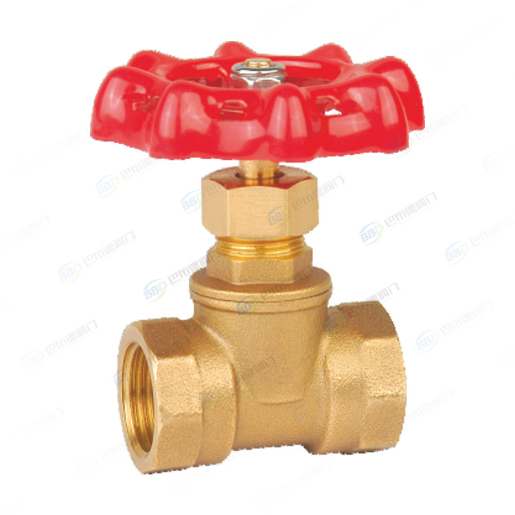 Brass globe check valve