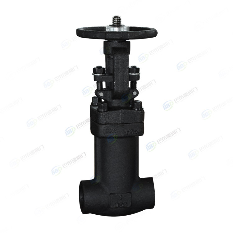 Bellows gate valve