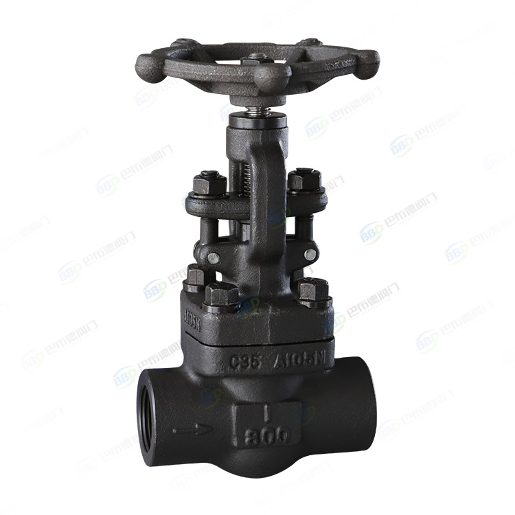 Forged steel threaded globe valve
