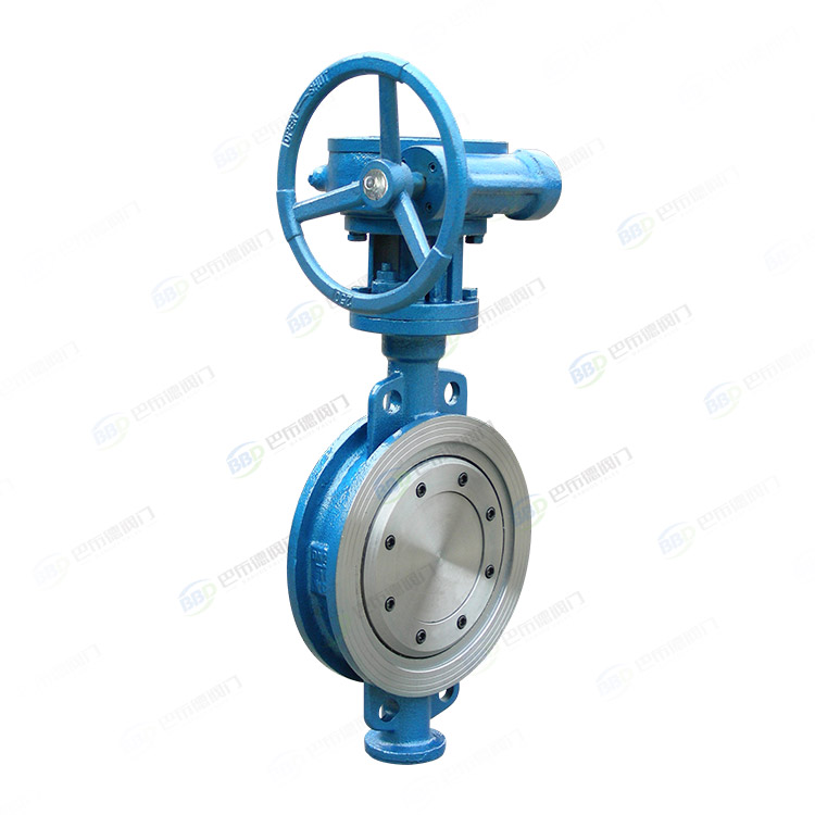 Worm gear clamp butterfly valve