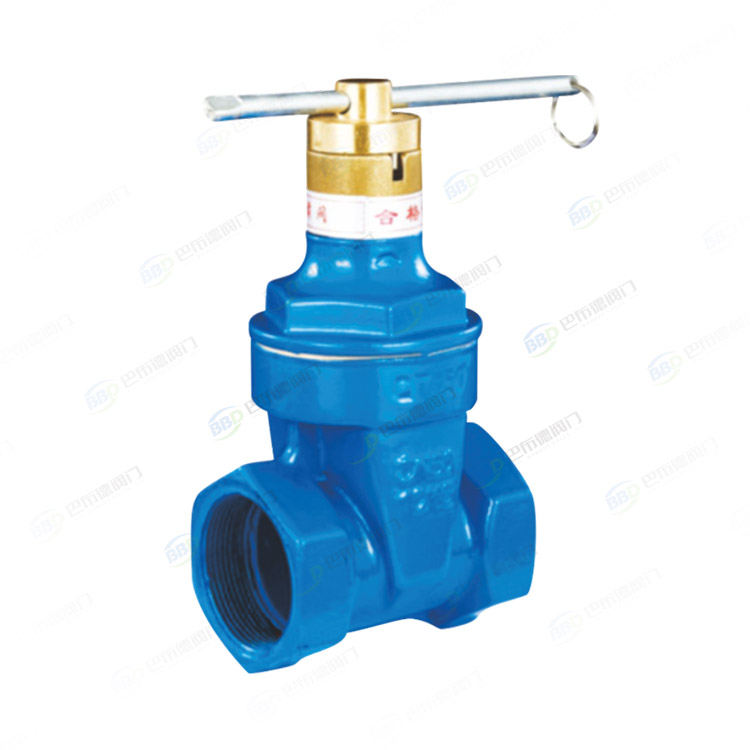 Anti theft threaded gate valve