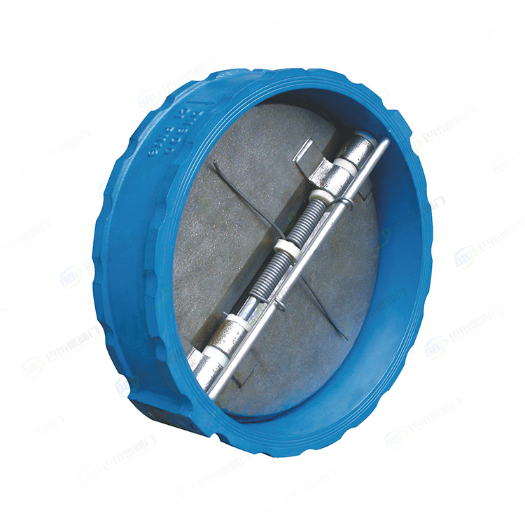 Clamp check valve