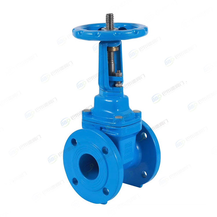 Bright stem soft seal gate valve