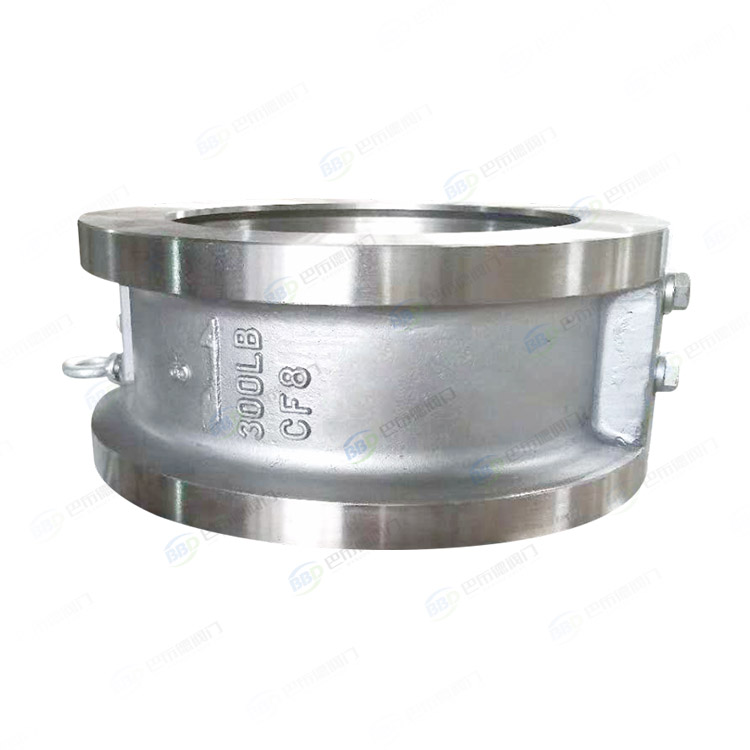 Power station check valve