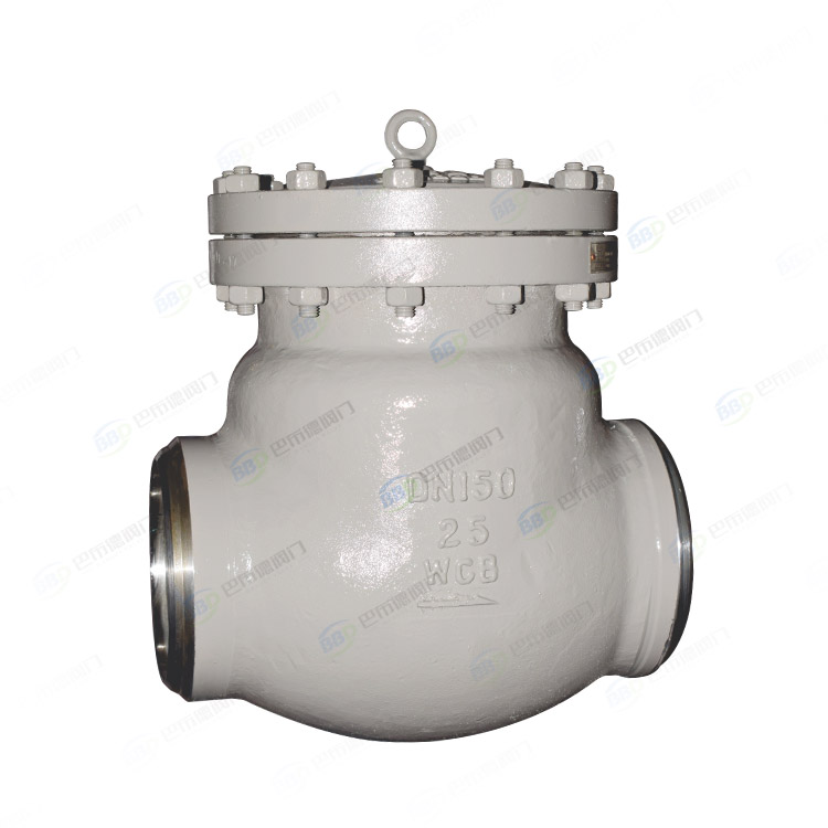 Power station check valve