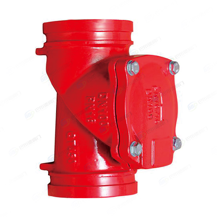 Groove rubber flap check valve