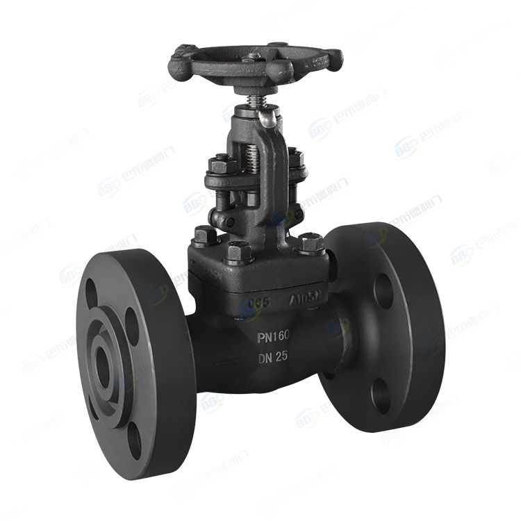 Forged steel flange globe valve