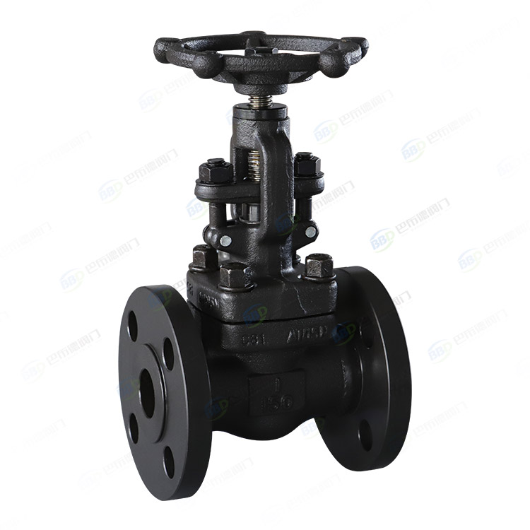 Forged steel flange globe valve