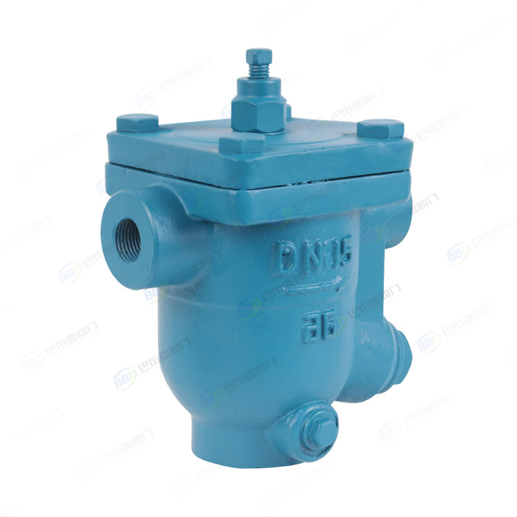 Threaded drain valve