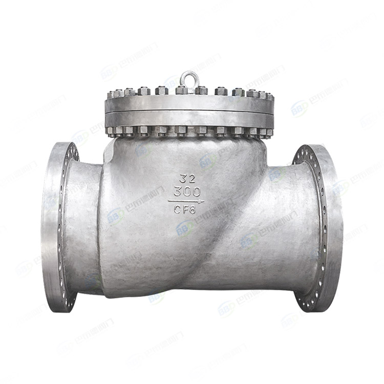 Power station check valve