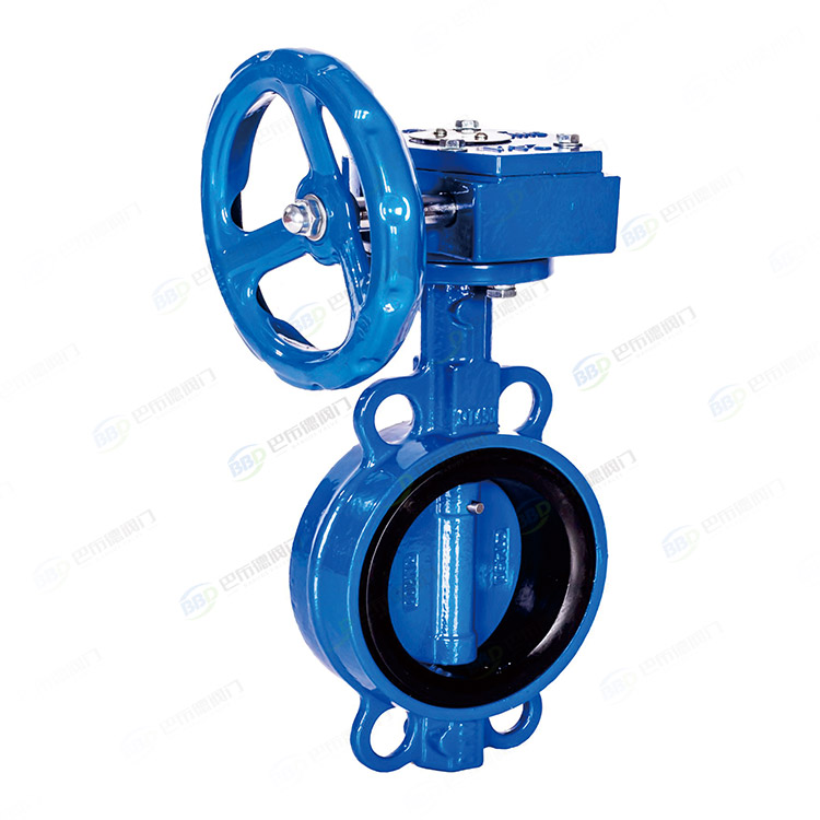 Clamp worm gear butterfly valve