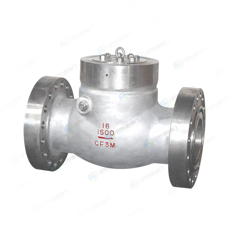 Power station check valve