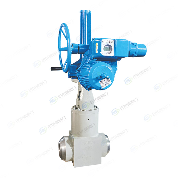 Power station valve