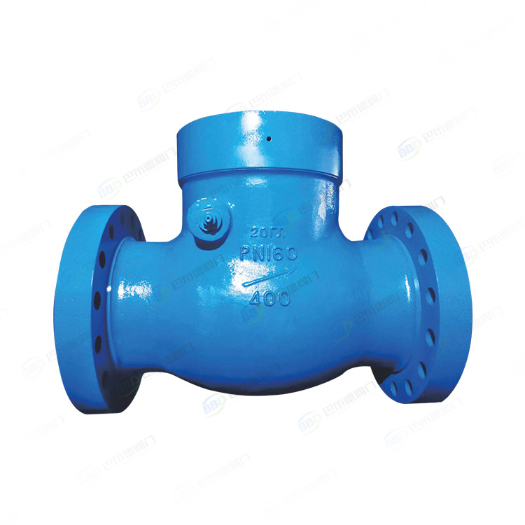 Power station check valve
