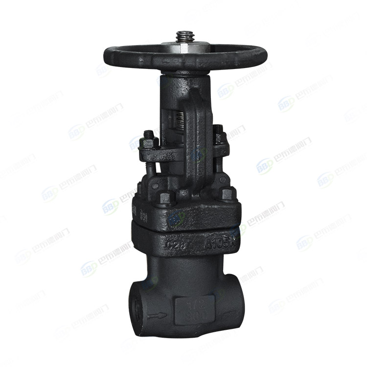 Bellows gate valve