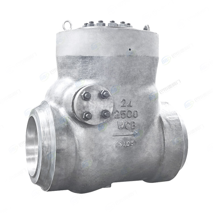 Power station check valve
