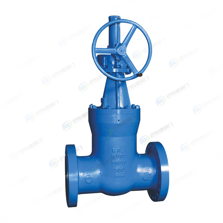 Power station gate valve