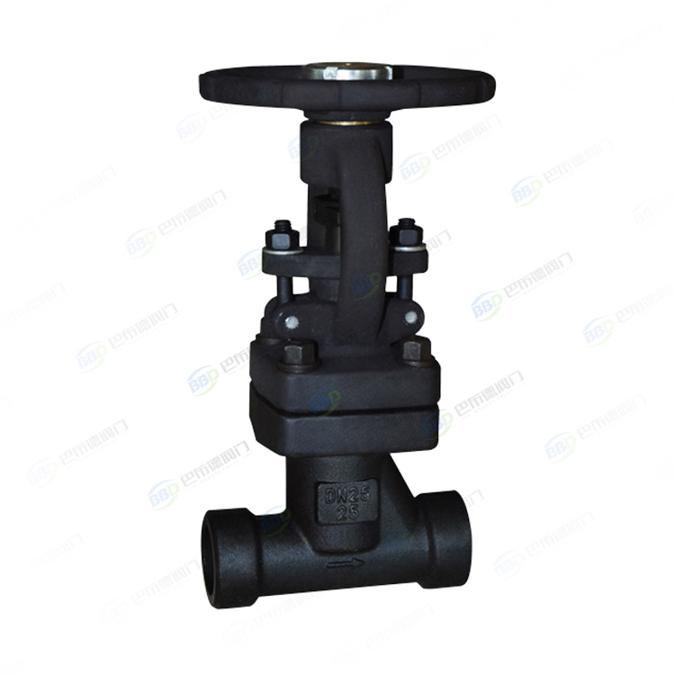 Bellows globe valves