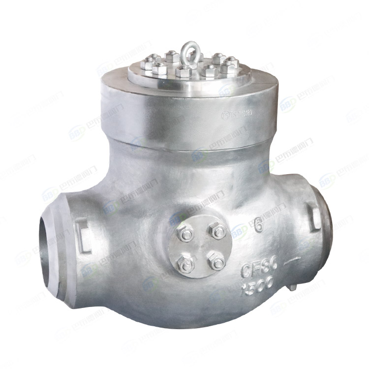 Power station check valve