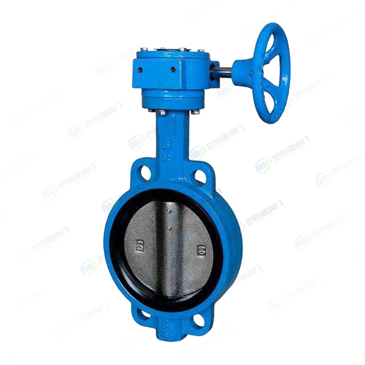 Soft sealed clamp butterfly valve