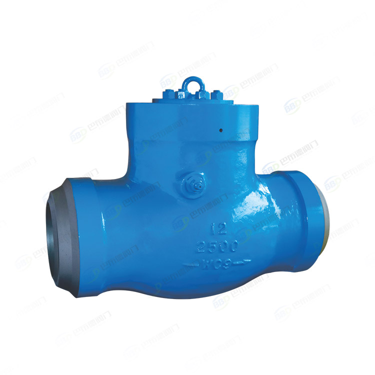 Power station check valve