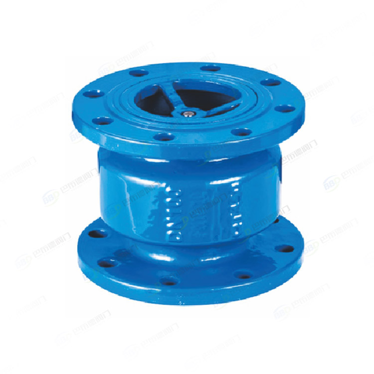 Vertical check valve