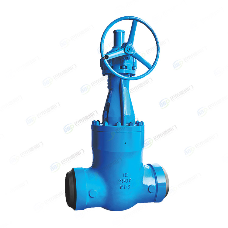Power station gate valve