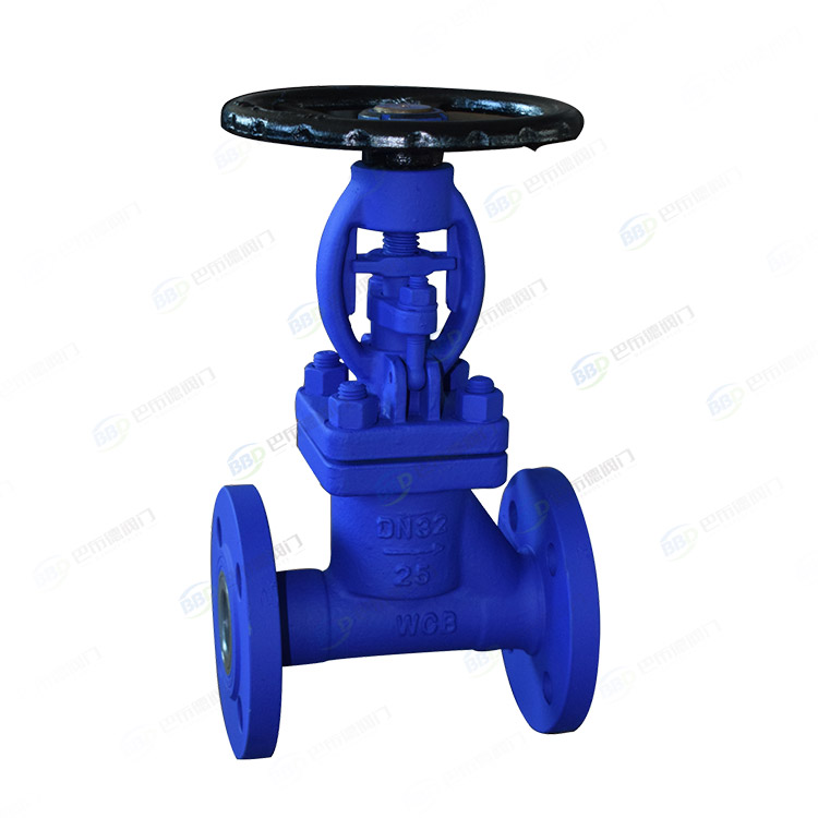 Bellows globe valves