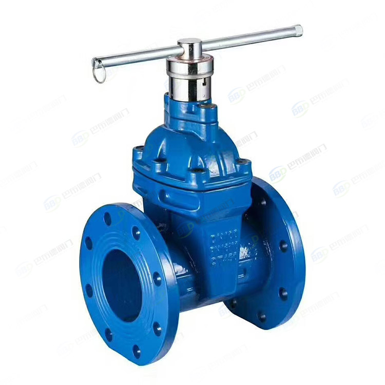 Anti theft gate valve