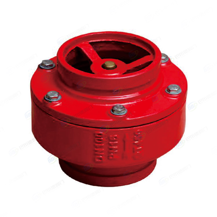 Groove silencing check valve