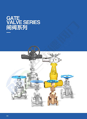 Gate Valve series