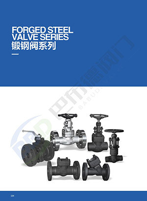 Forged steel valve series