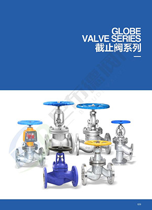 Globe valve series